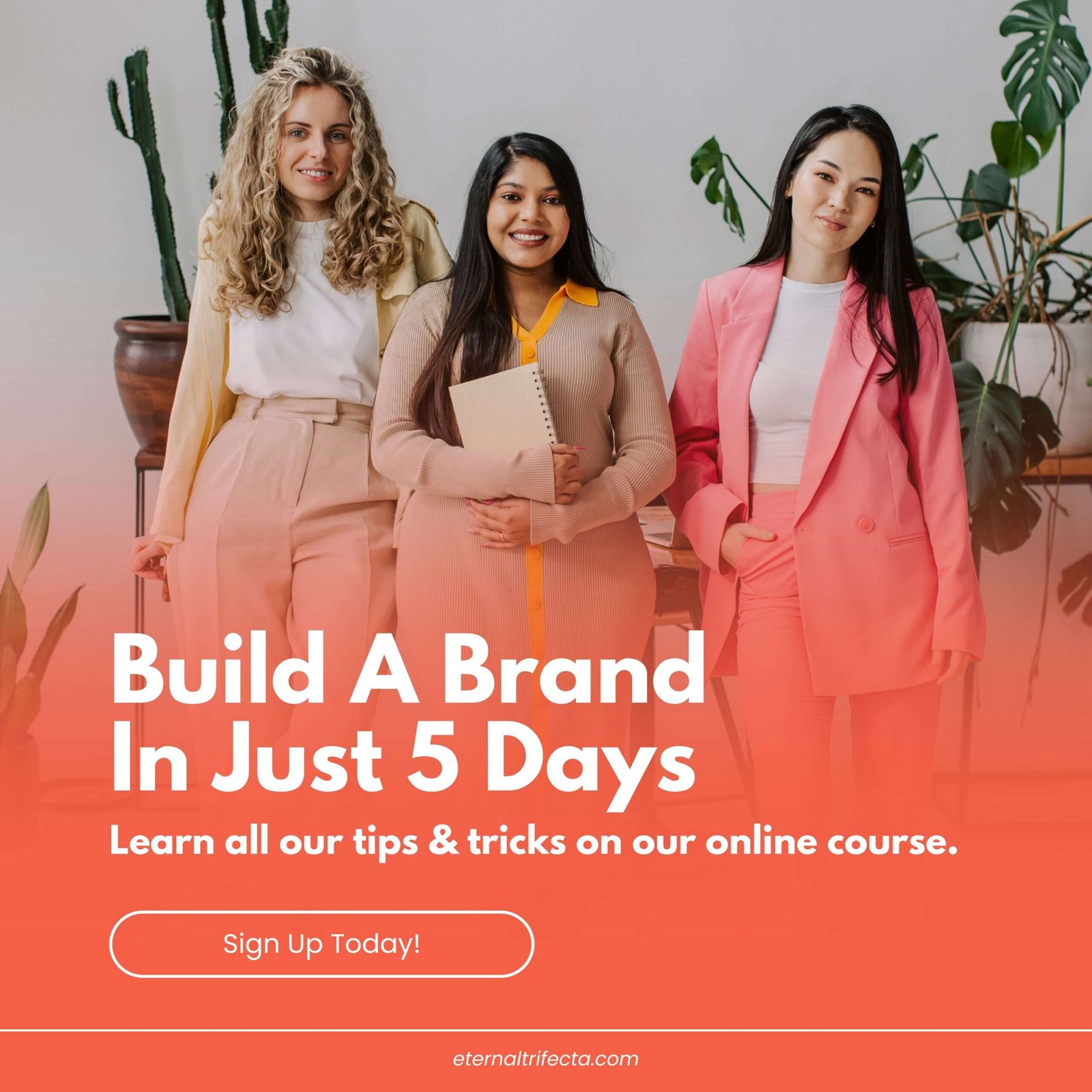 Top Digital Marketing & Web Agency in CA & VA Top Digital Marketing & Web Agency in CA & VA